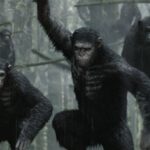 apes revolution