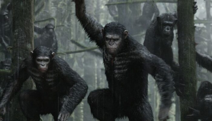 apes revolution