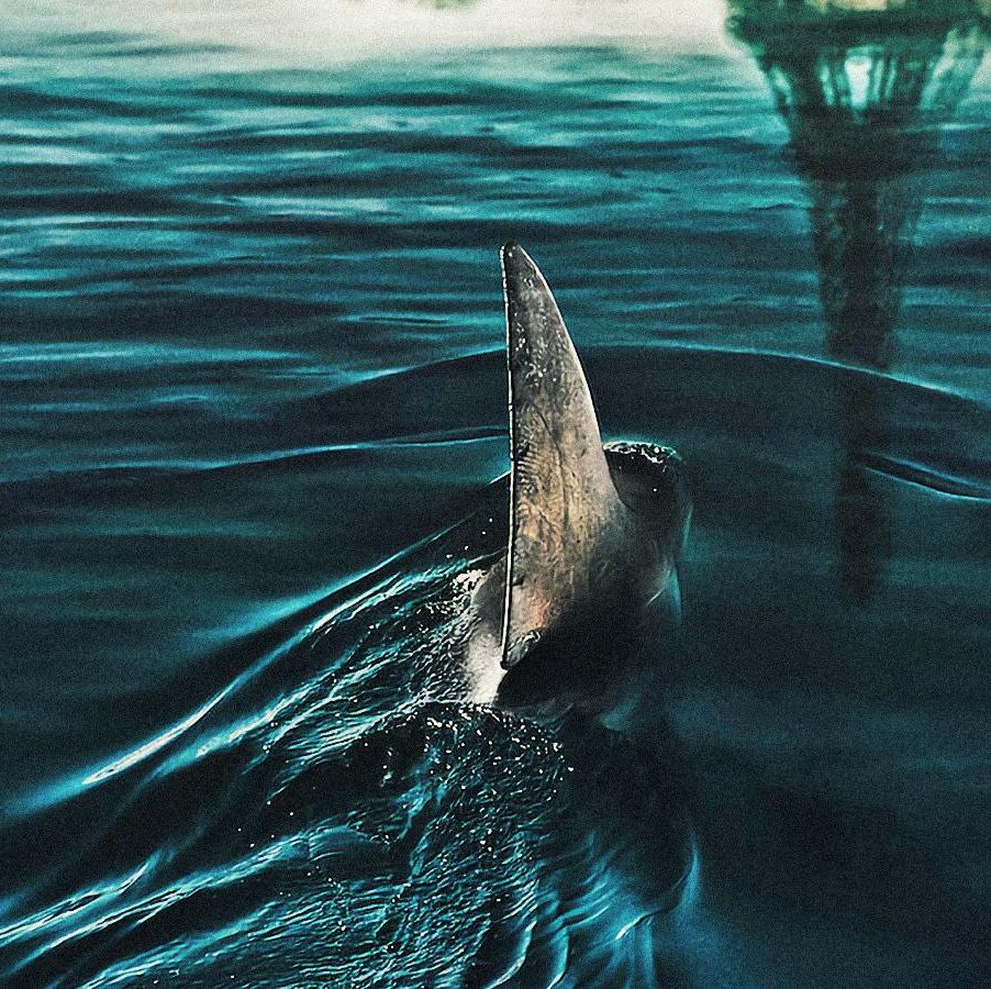 Under Paris è il film diretto da Xavier Gens con Bérénice Bejo e con Nagisa Morimoto doppiato da Luna Iansante